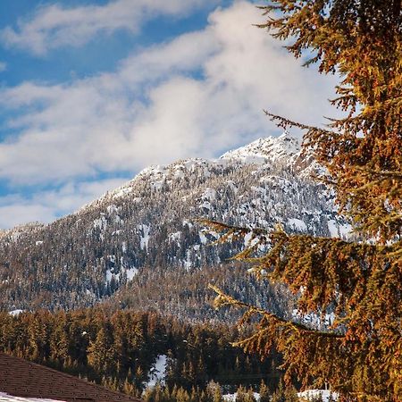 Updated Whistler Creek Studio With Parking 惠斯勒 外观 照片